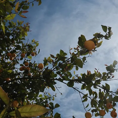 Holiday home Le Dimore Del Sole Capriccioli