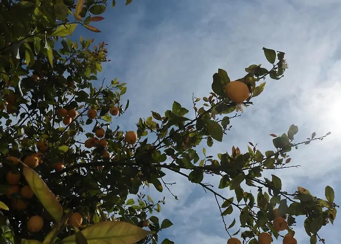 Holiday home Le Dimore Del Sole Capriccioli