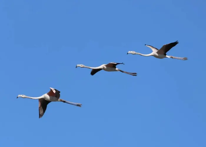 Le Dimore Del Sole Capriccioli Hébergement de vacances *